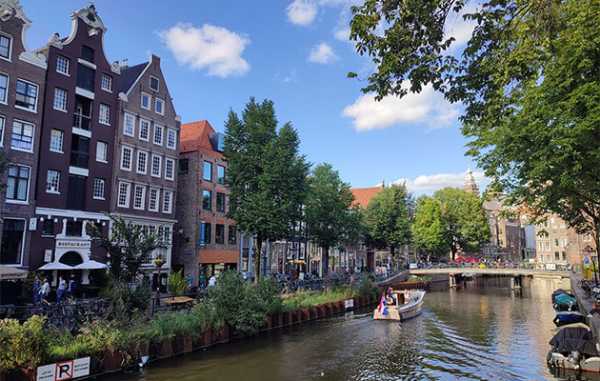 記事サムネイル