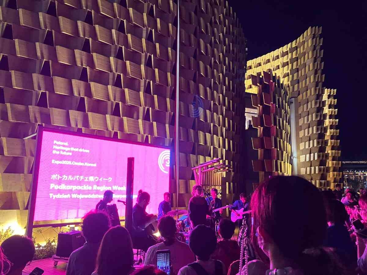 レス12番の画像1