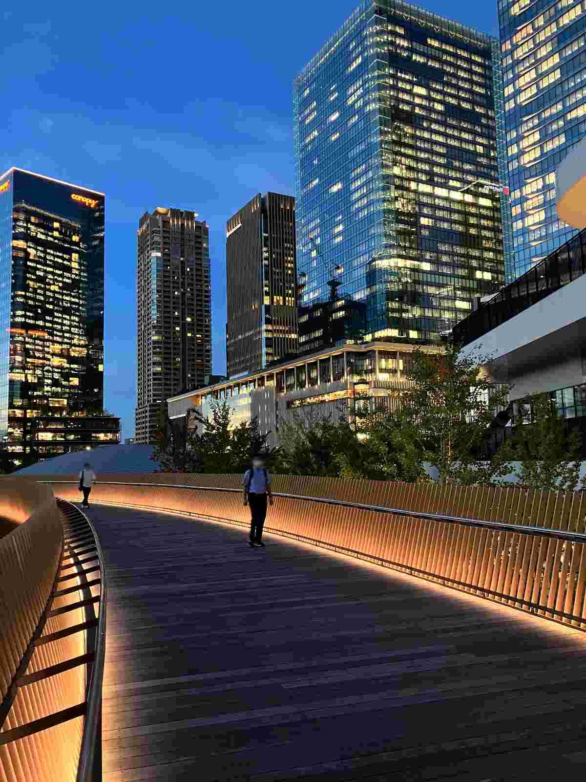 レス35番の画像1