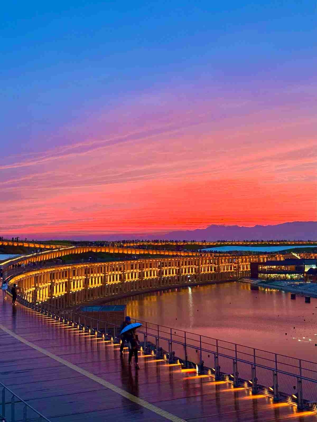 レス17番の画像1