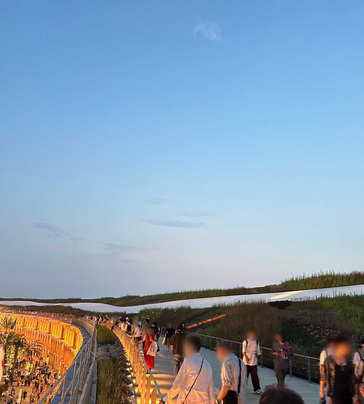 レス17番の画像3