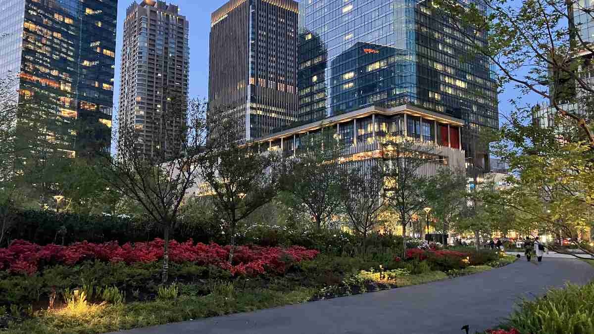 レス35番の画像3