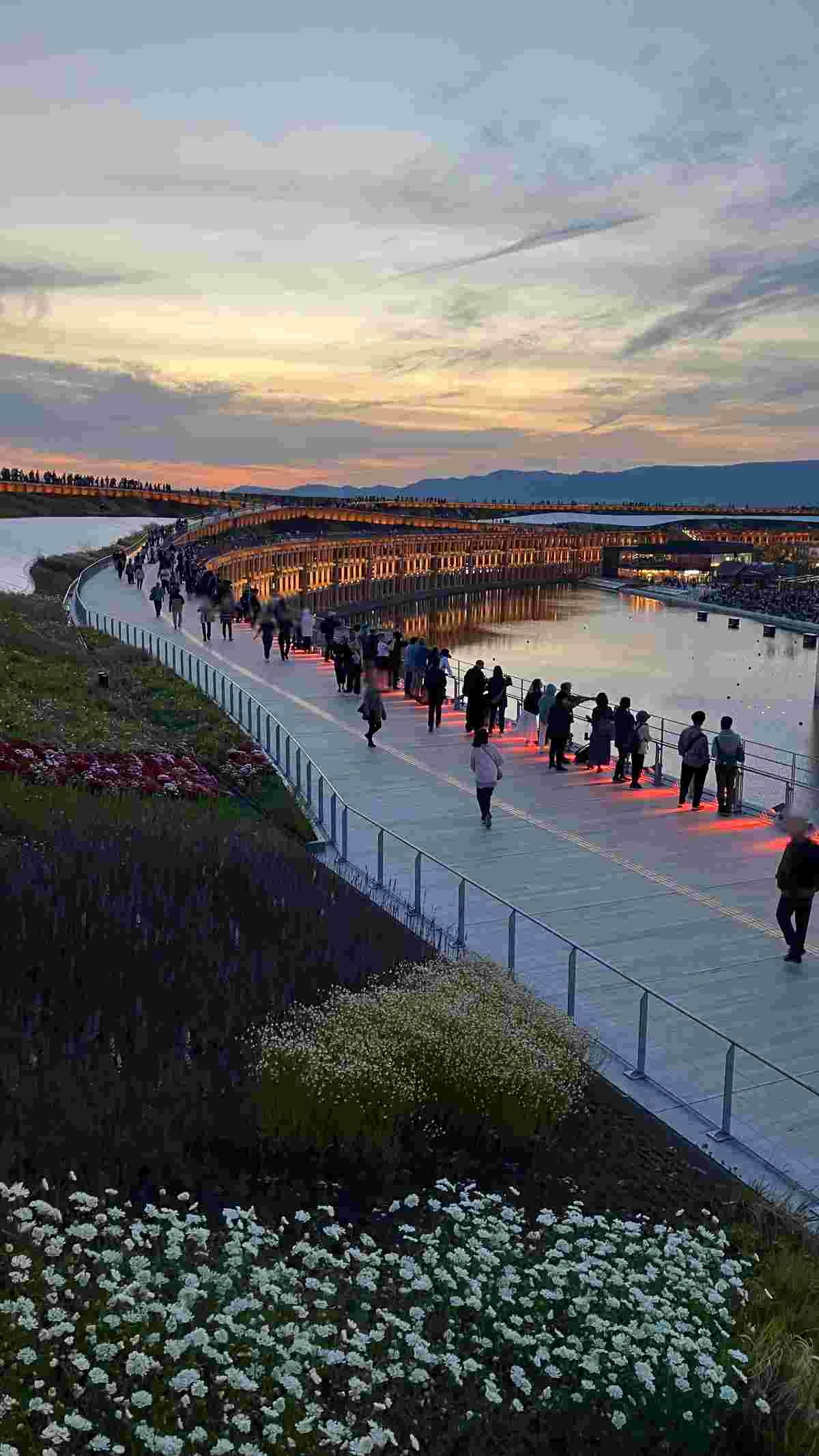 レス17番の画像5