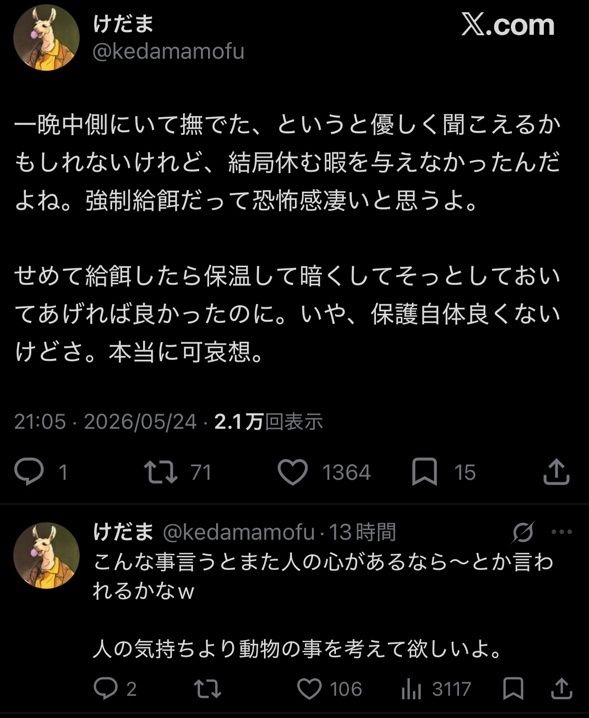 レス6番の画像1