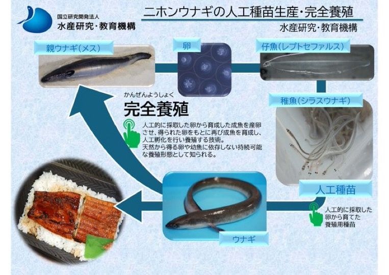 レス1番の画像4