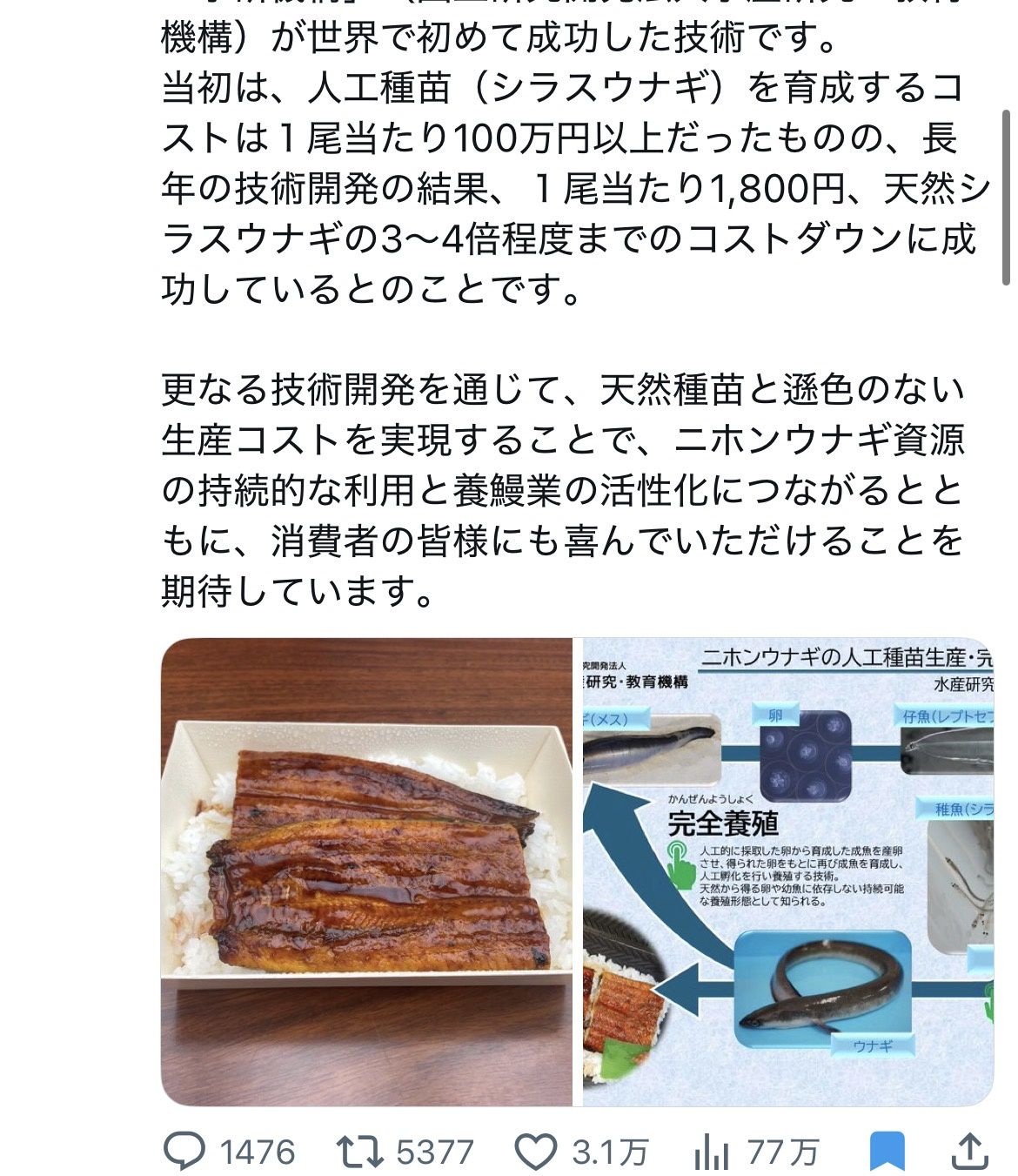 レス1番の画像2