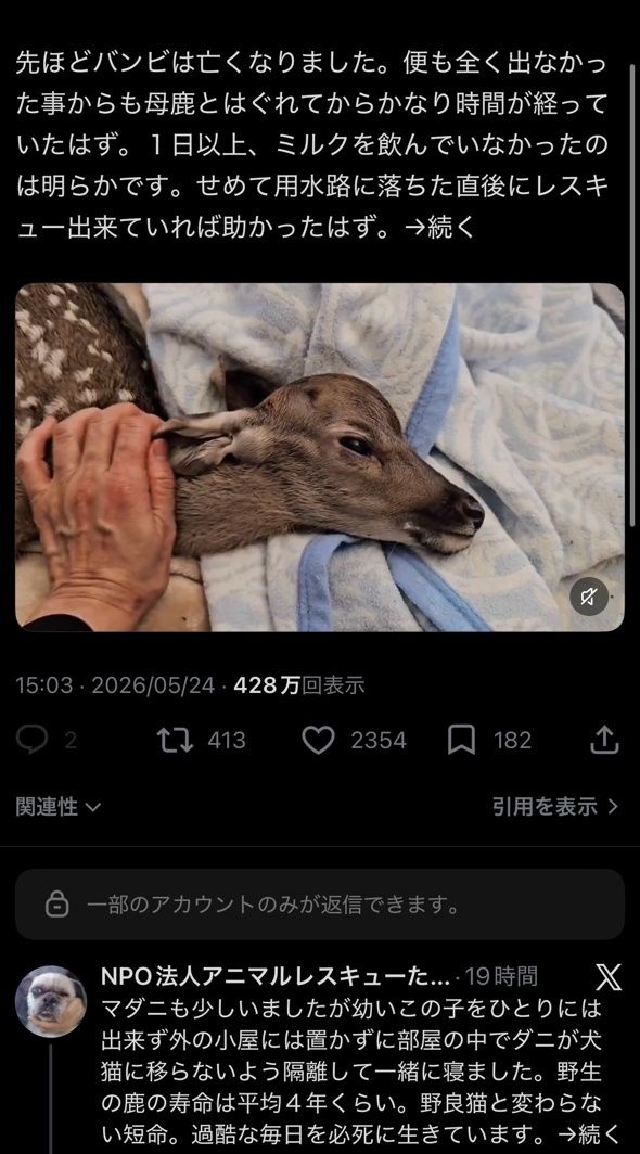 レス2番の画像1