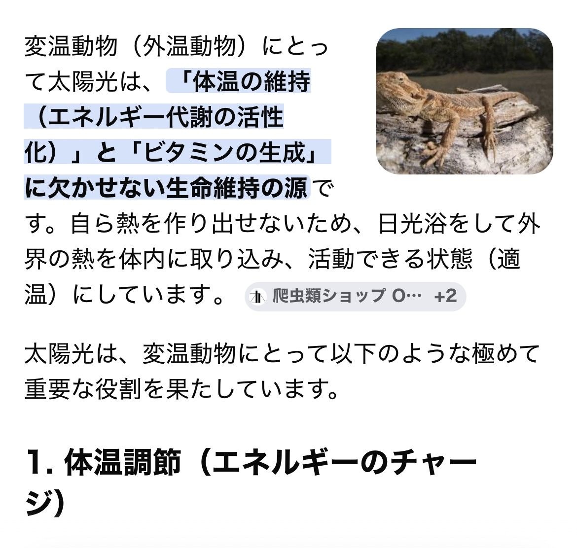 レス1番の画像2