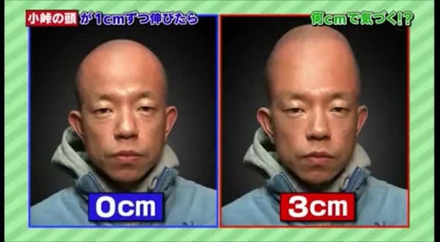 レス12番の画像1