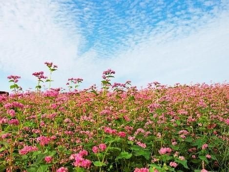 レス32番の画像4
